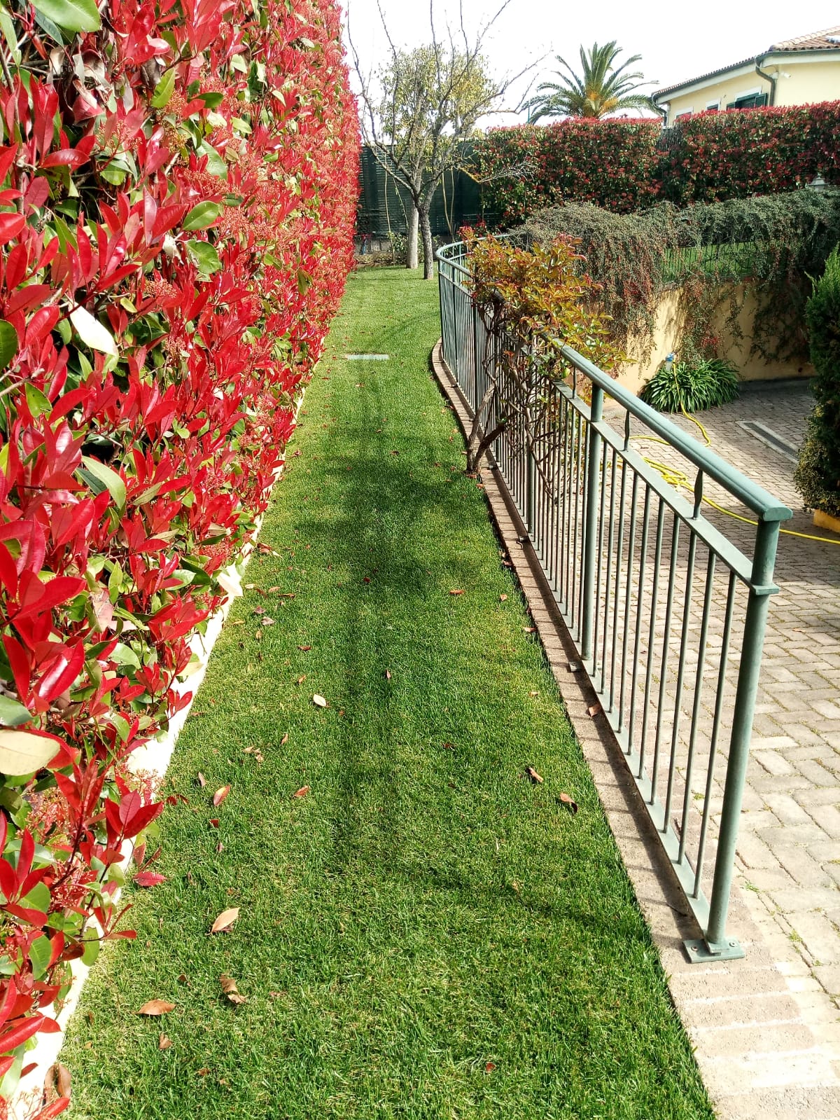 business-garden
