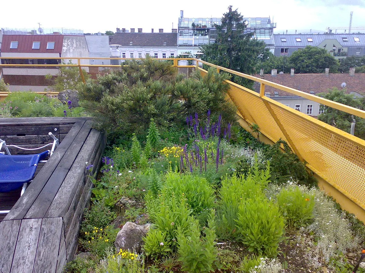 giardini-pensili-e-tetti-verdi