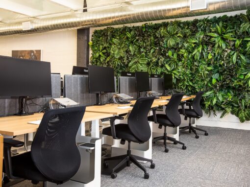 Green Office e Business Garden: innovazione e sostenibilità in ufficio